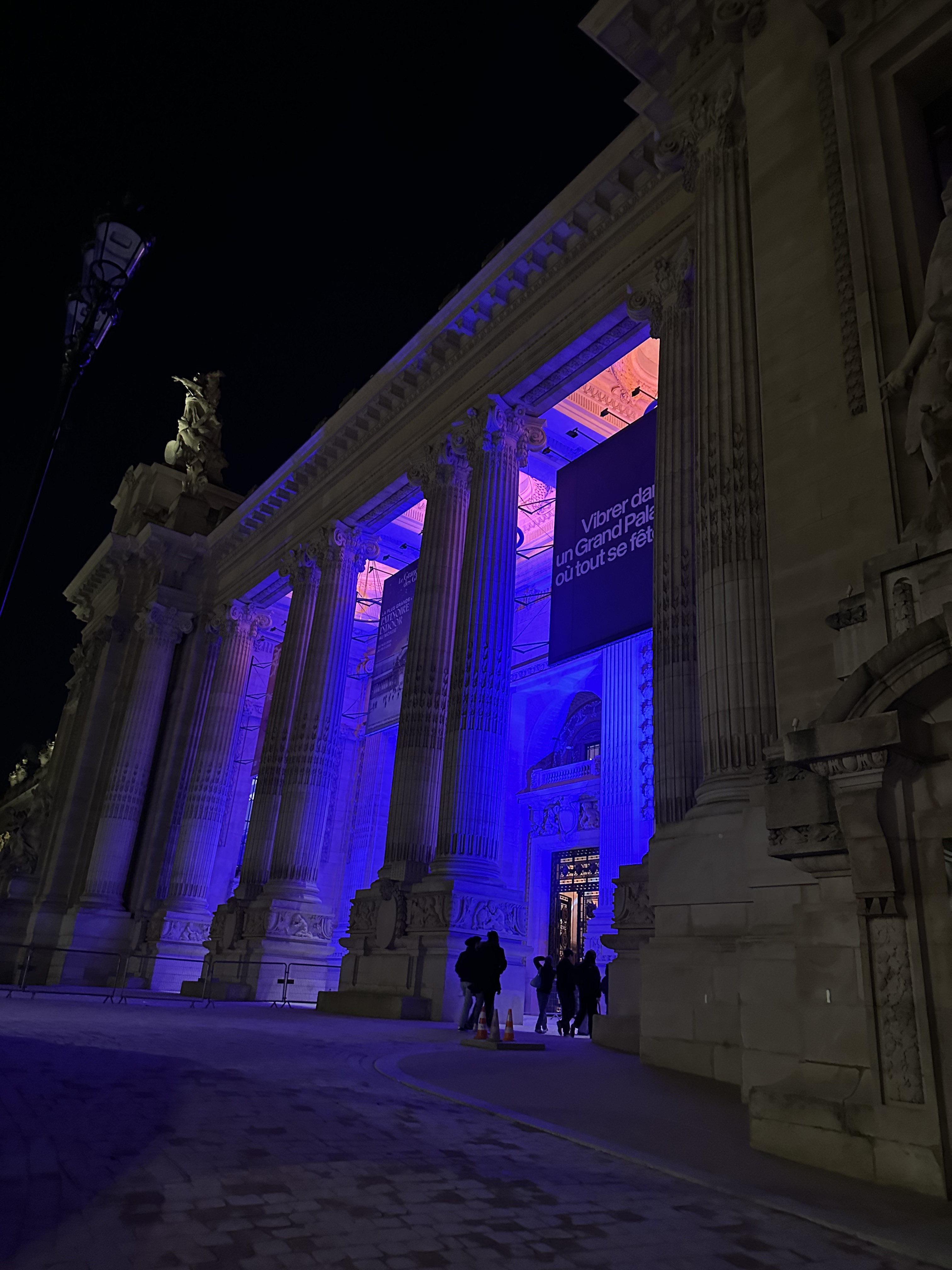Grand Palais by night, original TLC Paris photography