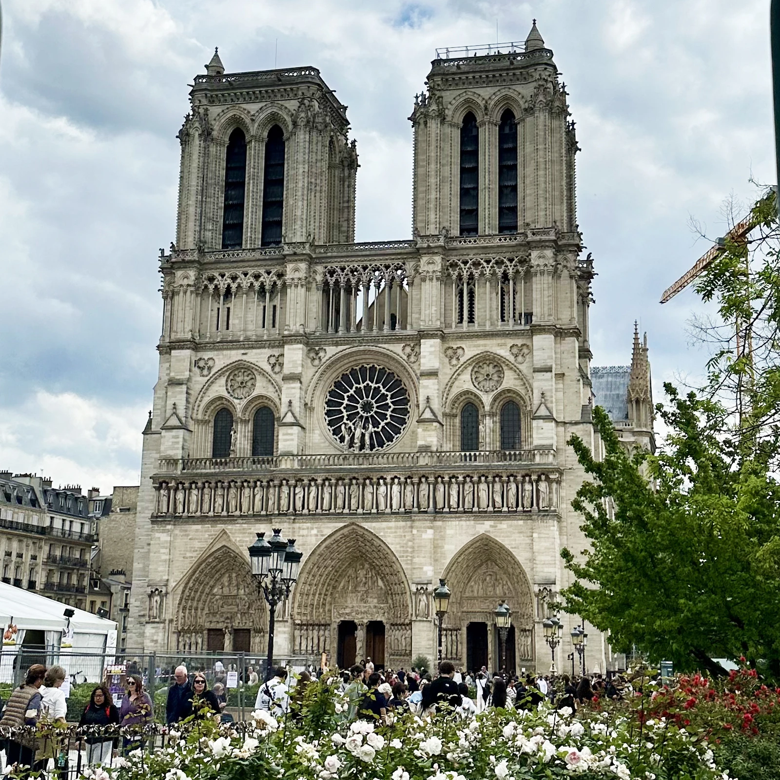 Notre-Dame Cathedral in Paris
