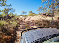 Starlink vs Satellite Phones for Remote Travel in Australia