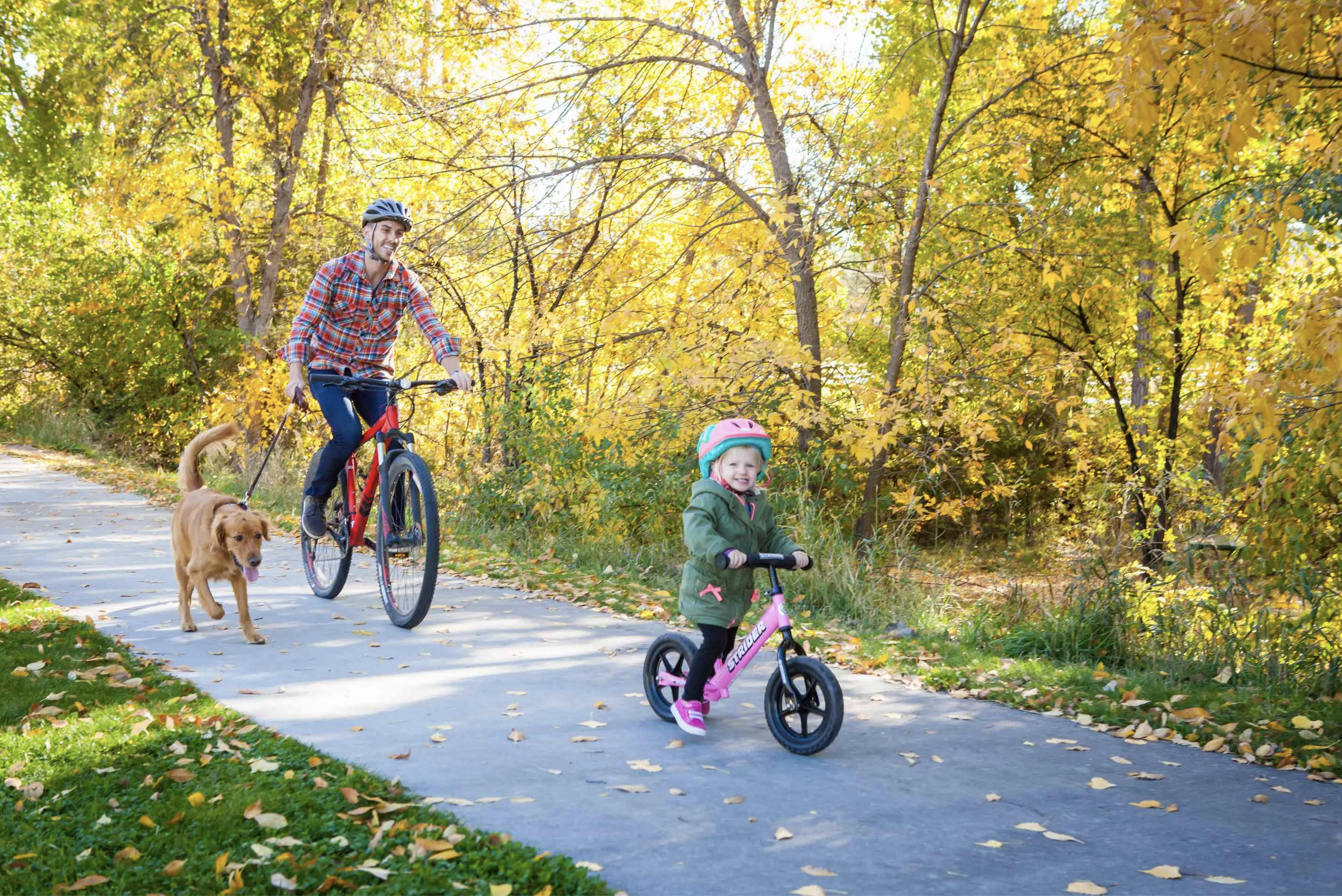 Thanksgiving Travels with Your Strider: Keeping the Fun Going on the Go!