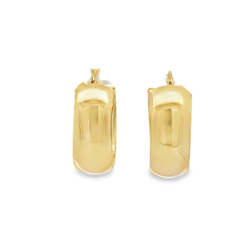 Chunky Wide Oval Hoops
