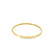 Flatte Hinged Bangle