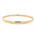 Bachini HR Bangle - 65MM