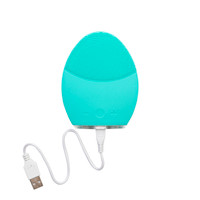 Turquoise Exfoliating Sonic Facial Scrubber