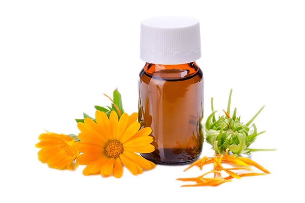 Calendula Flower Extract