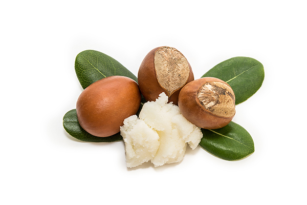 Shea Butter Ingredient