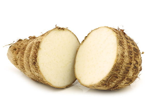 Arrow Root Ingredient