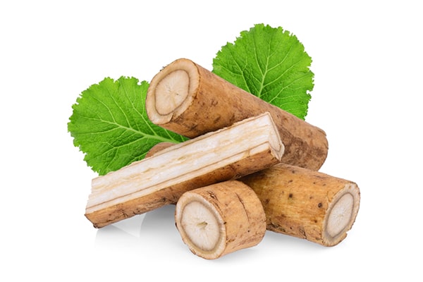 Burdock Root