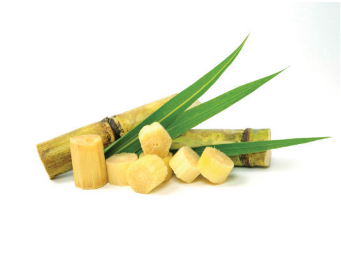 Sugar Cane