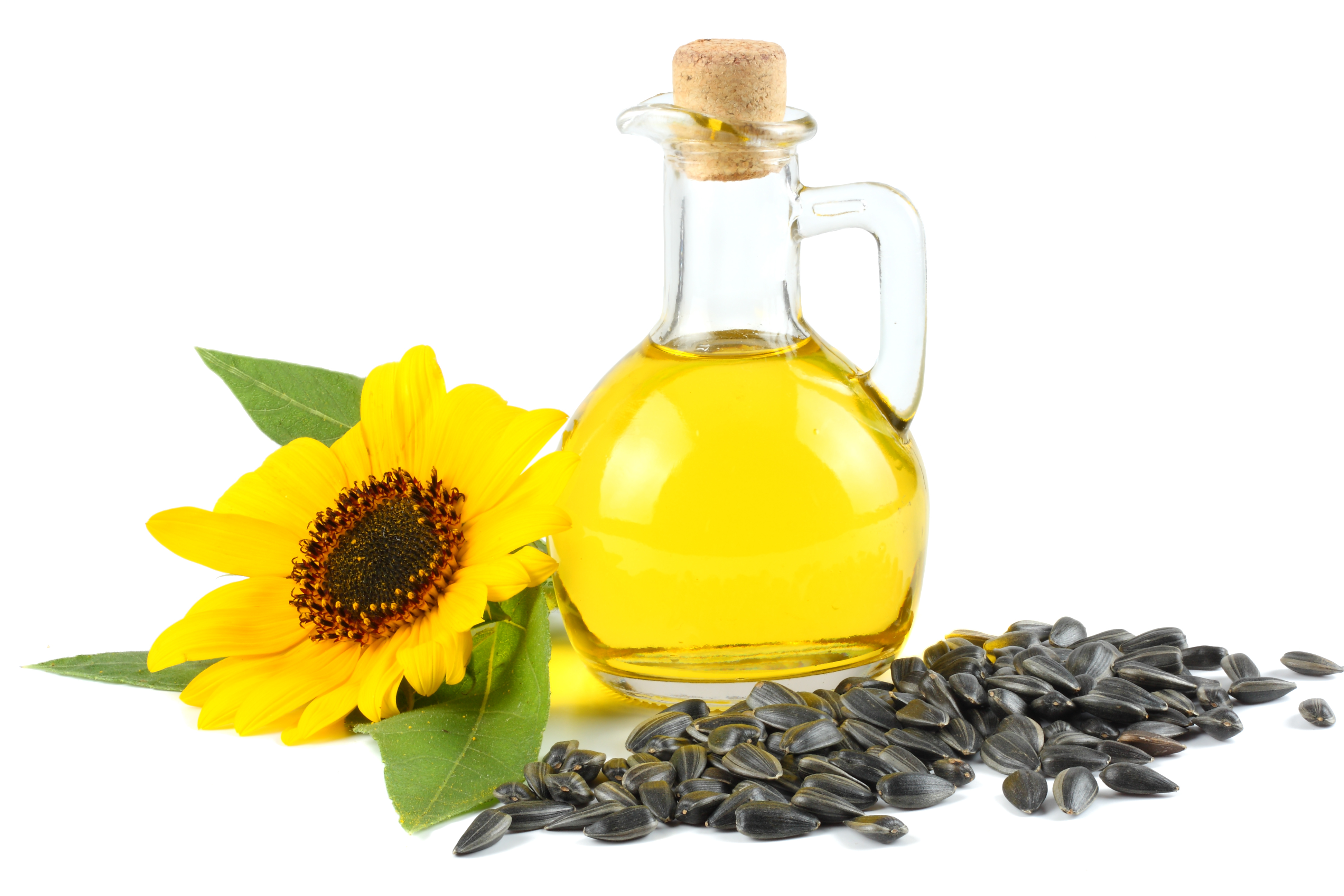 Sunflower Oil