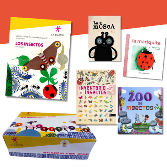 BOX 5 — Los insectos