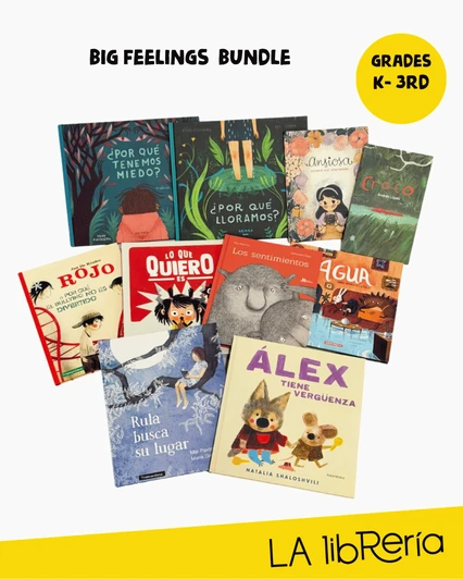 Big Feelings Bundle Big Feelings Bundle