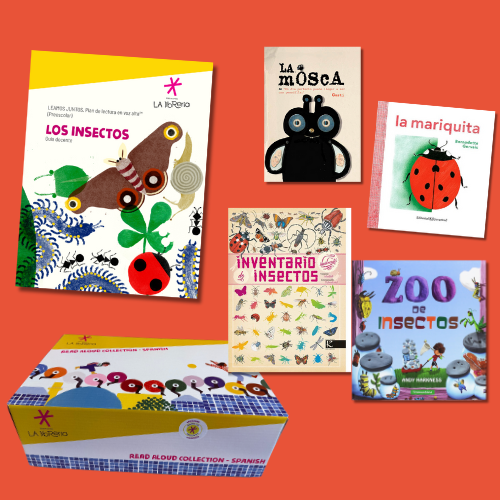 BOX 5 — Los insectos (TK/K)