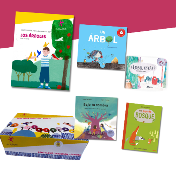 BOX 8 — Los árboles