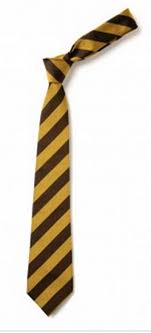 St. Anthony's Rutherglen Primary School Tie