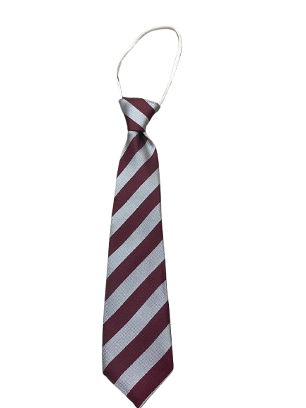 St Cadocs Tie (Standard or Elastic)