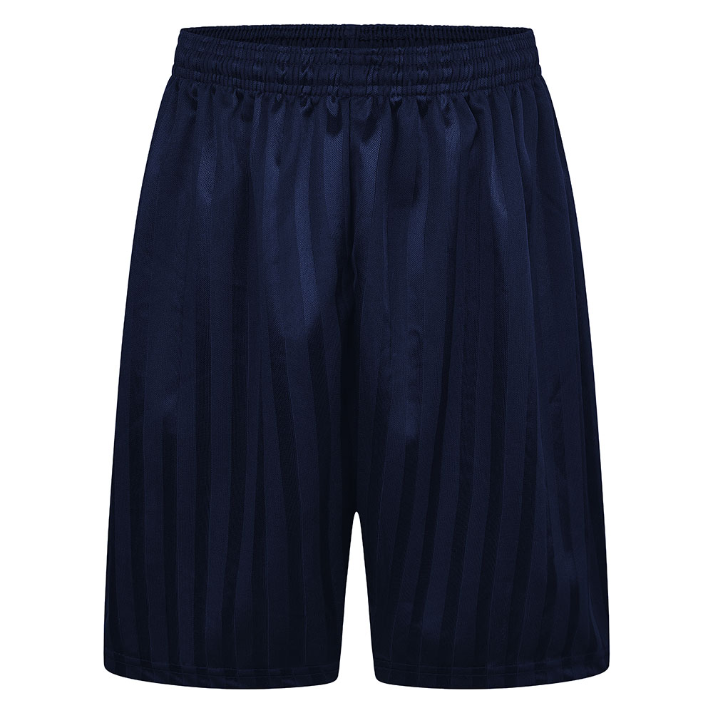 Shadow Stripe Gym Shorts