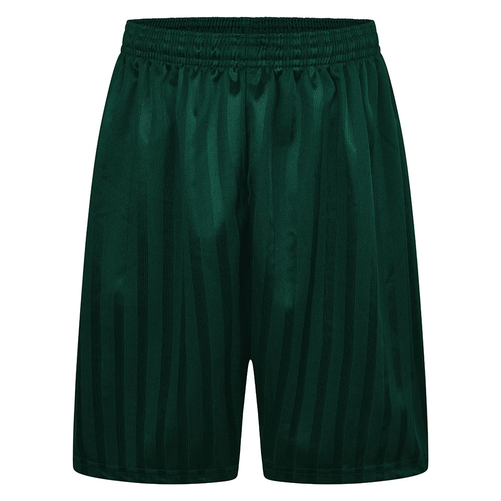 Shadow Stripe Gym Shorts
