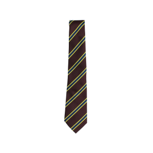 Netherlee Primary School Tie (Elastic)