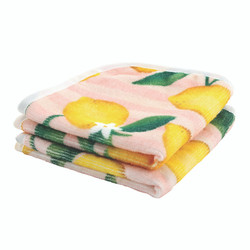 Washcloth Set - Pink Stripes + Lemons