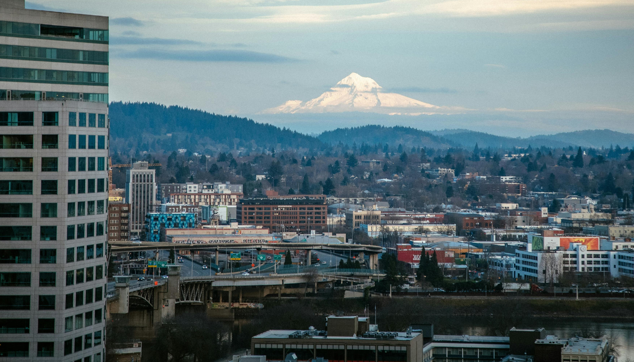 hot air balloon with dog face
