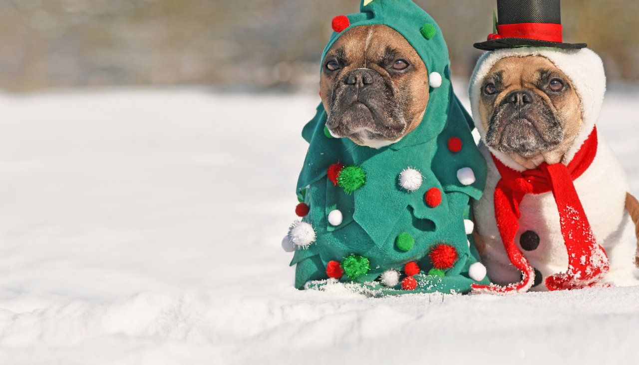 clear picking bins stacked to form a rainbow shape