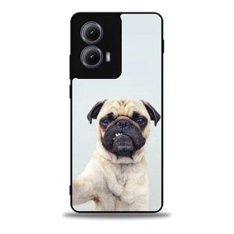 Cute Pug 1 Motorola Moto Edge Case