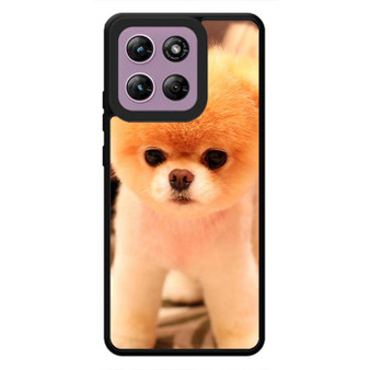 Cute Puppy 1 Motorola Moto G Stylus 2026 Case