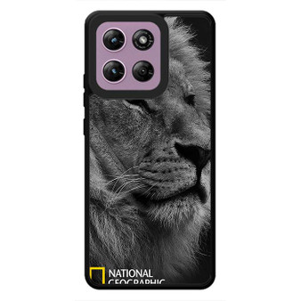 National Geographic Lion Motorola Moto G Stylus 2026 Case
