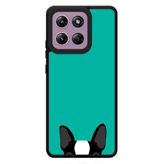 Watching Boston Terrier 1 Motorola Moto G Stylus 2026 Case
