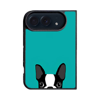 Watching Boston Terrier 1 iPhone Duo Case