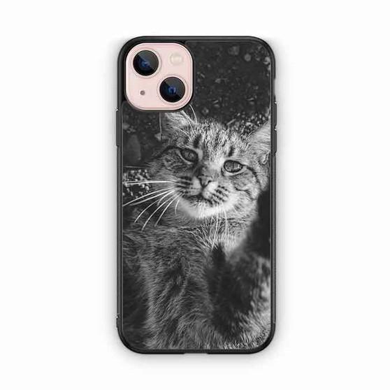 Cute Cat Vintage iPhone 13 Case