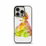Disney Princess Colorfull Art iPhone 16 Pro Case