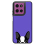 Purple Boston Terrier Motorola Moto G 2026 Case