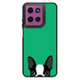 Watching Boston Terrier 2 Motorola Moto G 2026 Case