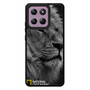 National Geographic Lion Motorola Moto G Stylus 2026 Case