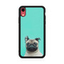Cute Pug 3 iPhone XR Case