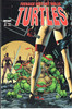Teenage Mutant Ninja Turtles TMNT (1996 Series) #2 NM- 9.2