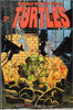 Teenage Mutant Ninja Turtles TMNT (1996 Series) #12 NM- 9.2