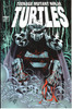Teenage Mutant Ninja Turtles TMNT (1996 Series) #13 NM- 9.2