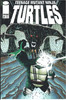 Teenage Mutant Ninja Turtles TMNT (1996 Series) #17 NM- 9.2