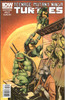 Teenage Mutant Ninja Turtles TMNT (2011 Series) #3A NM- 9.2