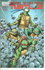 Teenage Mutant Ninja Turtles TMNT (2011 Series) #8A NM- 9.2