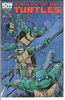 Teenage Mutant Ninja Turtles TMNT (2011 Series) #11A NM- 9.2