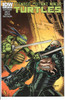 Teenage Mutant Ninja Turtles TMNT (2011 Series) #20B NM- 9.2