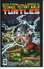 Teenage Mutant Ninja Turtles TMNT Color Classics #9 NM- 9.2