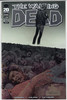 Walking Dead (2003 Series) #100A Chrome I Variant NM- 9.2