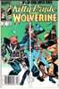 Wolverine and Kitty Pride #6 Newsstand
