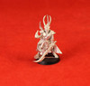 Warhammer 40K-Dark Eldar-Dark Archon Metal