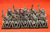 Warhammer Fantasy-Orcs & Goblins-Forest Spider Riders - Plastic X10 -Lot 102